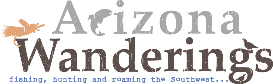 Arizona Wanderings